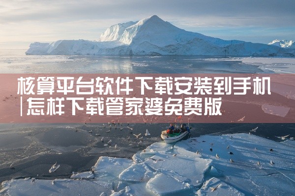 核算平台软件下载安装到手机