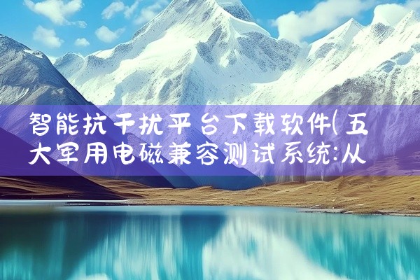 智能抗干扰平台下载软件