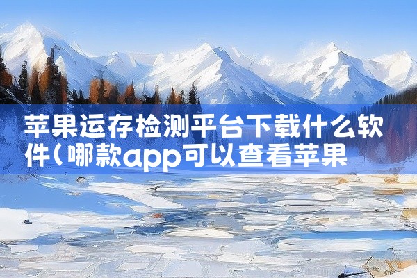 苹果运存检测平台下载什么软件