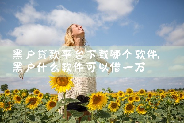 黑户贷款平台下载哪个软件