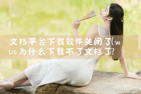 文档平台下载软件关闭了