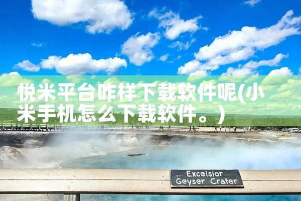 悦米平台咋样下载软件呢