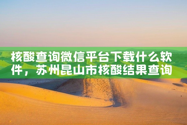 核酸查询微信平台下载什么软件